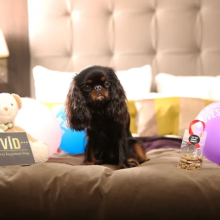 클라리온 애드미럴 4*